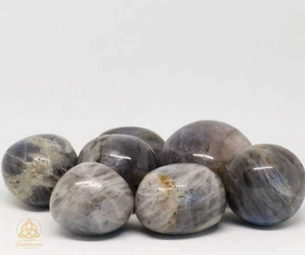 pierre-roulée-labradorite-william-wood-le-squeletteJPG
