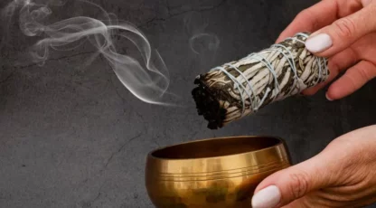 sauge-catégorie-william-wood-le-squelette