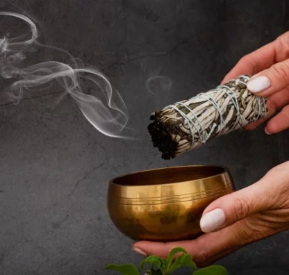 sauge-catégorie-william-wood-le-squelette