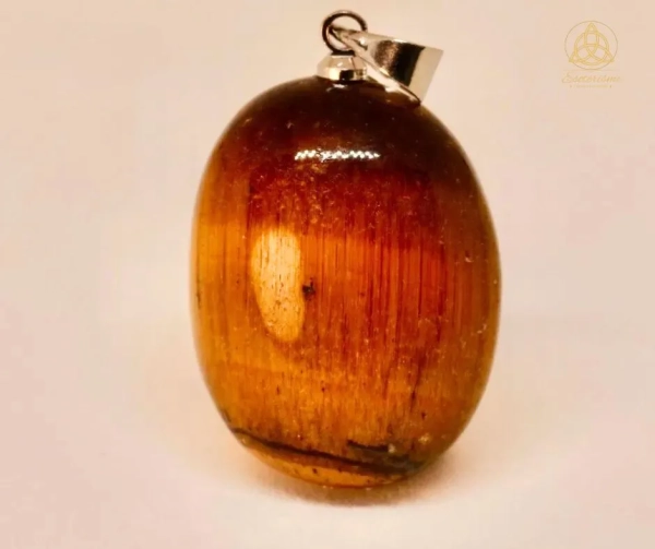 Pendentif Oeil de tigre-ésotérisme-by-william-wood