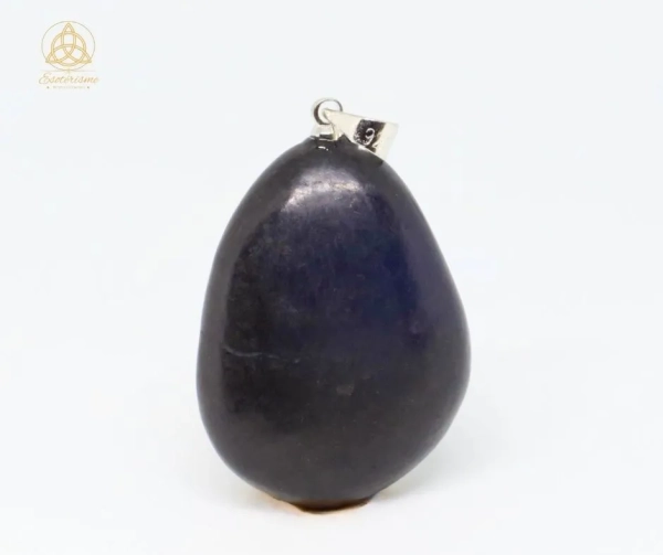 pendentif-Shungite A-william-wood-le-squeletteJPG