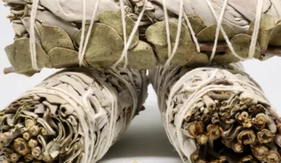 Sauge Blanche et Eucalyptus