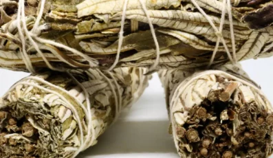 Sauge blanche et herbe sacrée