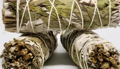 Sauge blanche et Menthe