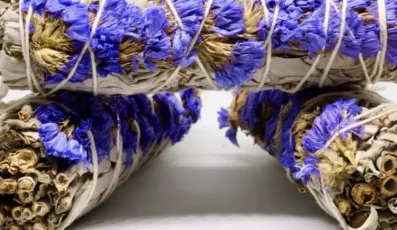 Sauge blanche et  lavande 