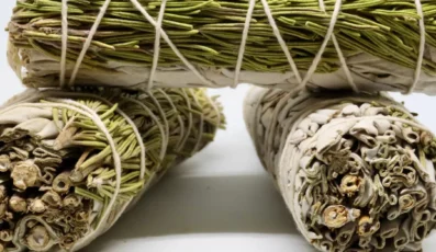 Sauge blanche et romarin