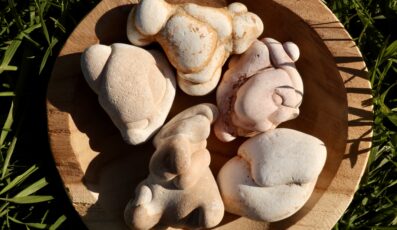 PIERRE BRUTE PIERRE DES FÉES