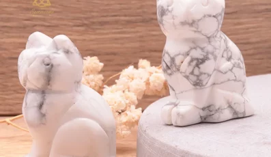 Chat HOWLITE BLANCHE 