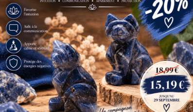 Figurine Chat Sodalite