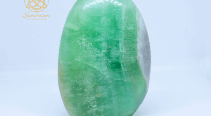 Pierre forme libre en fluorine AA 365g