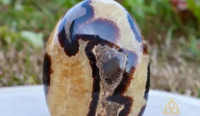 Forme libre septaria (417g)