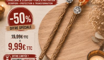 Baguettes signes astrologiques