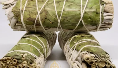 Sauge blanche et basilic de Californie