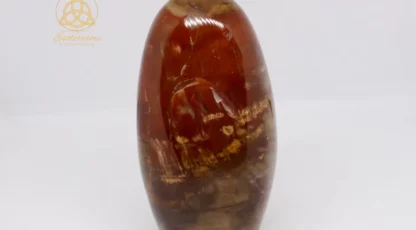 Pierre forme libre en bois fossilise AA  325g