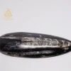 pointe-orthoceras-M2-esoterisme-by-william-wood