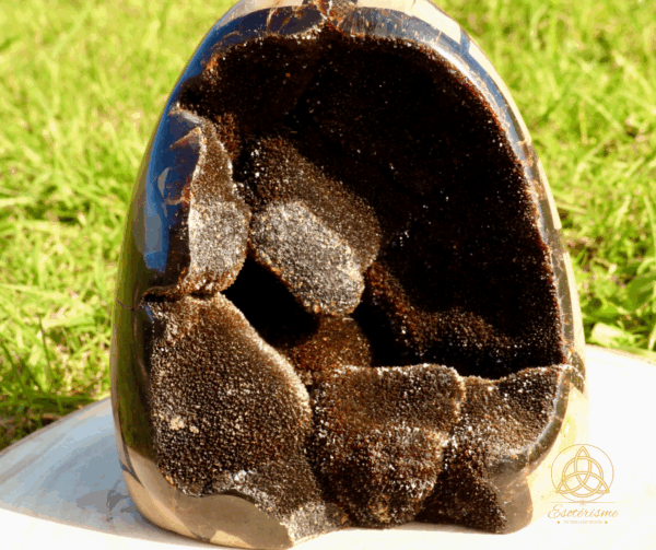 Pierre forme libre en Septaria sauvage AA