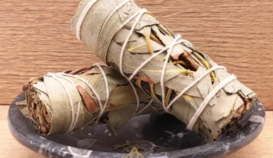 BÂTON D&rsquo;EUCALYPTUS