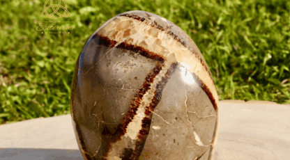 Pierre forme libre Septaria (568g)