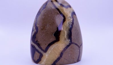 Pierre forme libre Septaria (544g)