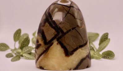 Pierre forme libre Septaria (463g)