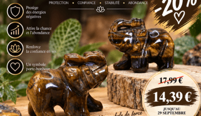 Éléphant en œil de tigre