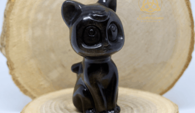 Chat obsidienne argentée