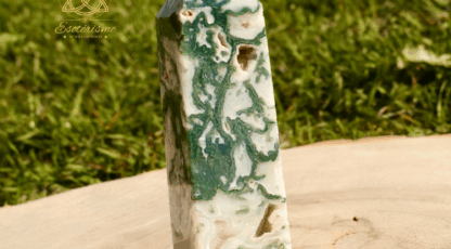 Pointe polie agate arbre (104g M2)