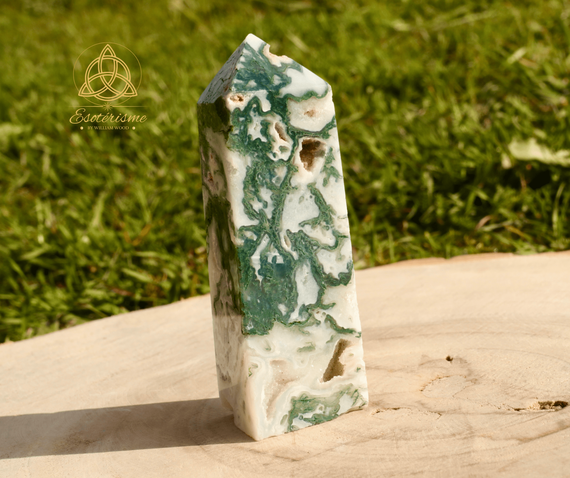 Pointe polie agate arbre