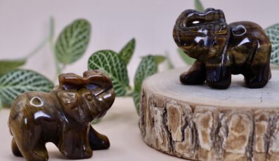 Éléphant en œil de tigre