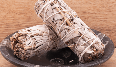 SAUGE BLANCHE DE CALIFORNIE