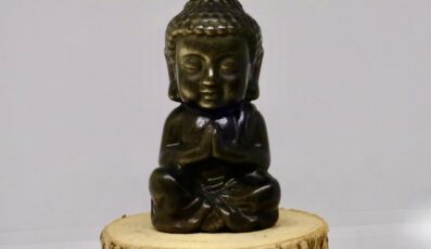 BOUDDHA INDIEN OBSIDIENNE DORÉE