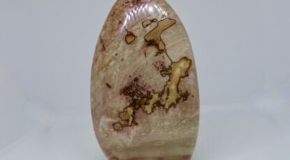 Forme libre en Jaspe Polychrome (480g)