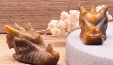 Tête de Dragon œil de tigre