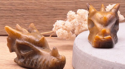 Tête de Dragon œil de tigre