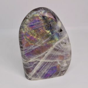 Labradorite Violette en forme libre (M2)