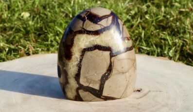 Pierre forme libre Septaria (435g)