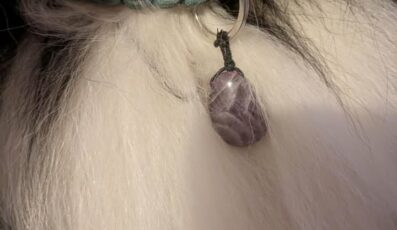 Pendentif Améthyste rubanée pour chien