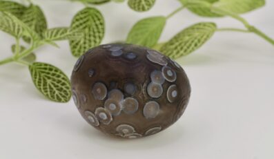 PIERRE ROULÉE AGATE DE GOBI (M1)