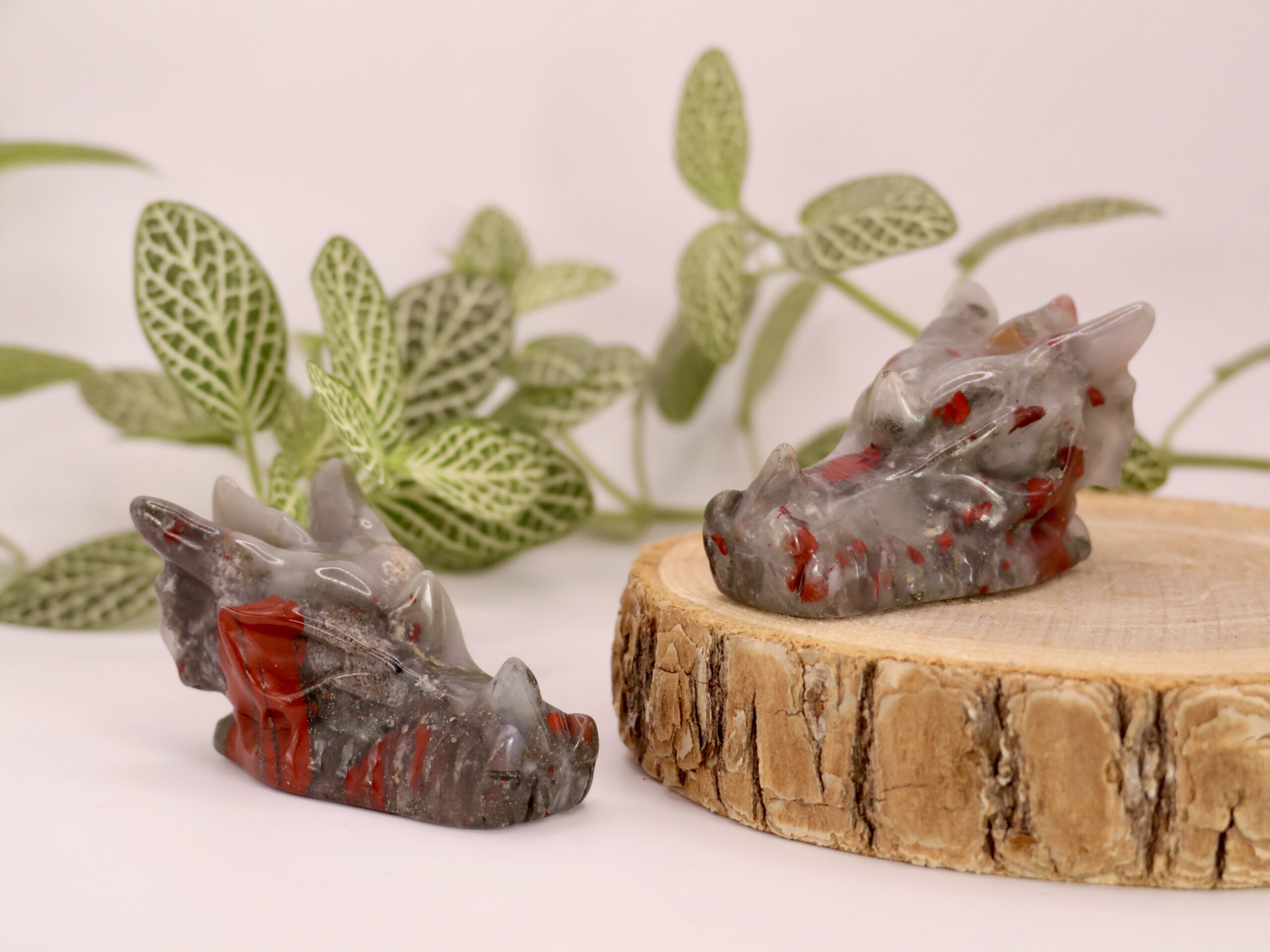 Tête de dragon Jaspe Héliotrope