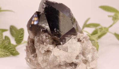 Druse cristal de roche fumé