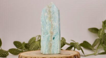 Pointe semi polie aragonite bleu