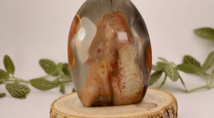 Forme libre JASPE POLYCHROME