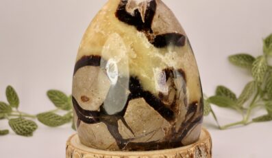 Pierre forme libre Septaria (635g)