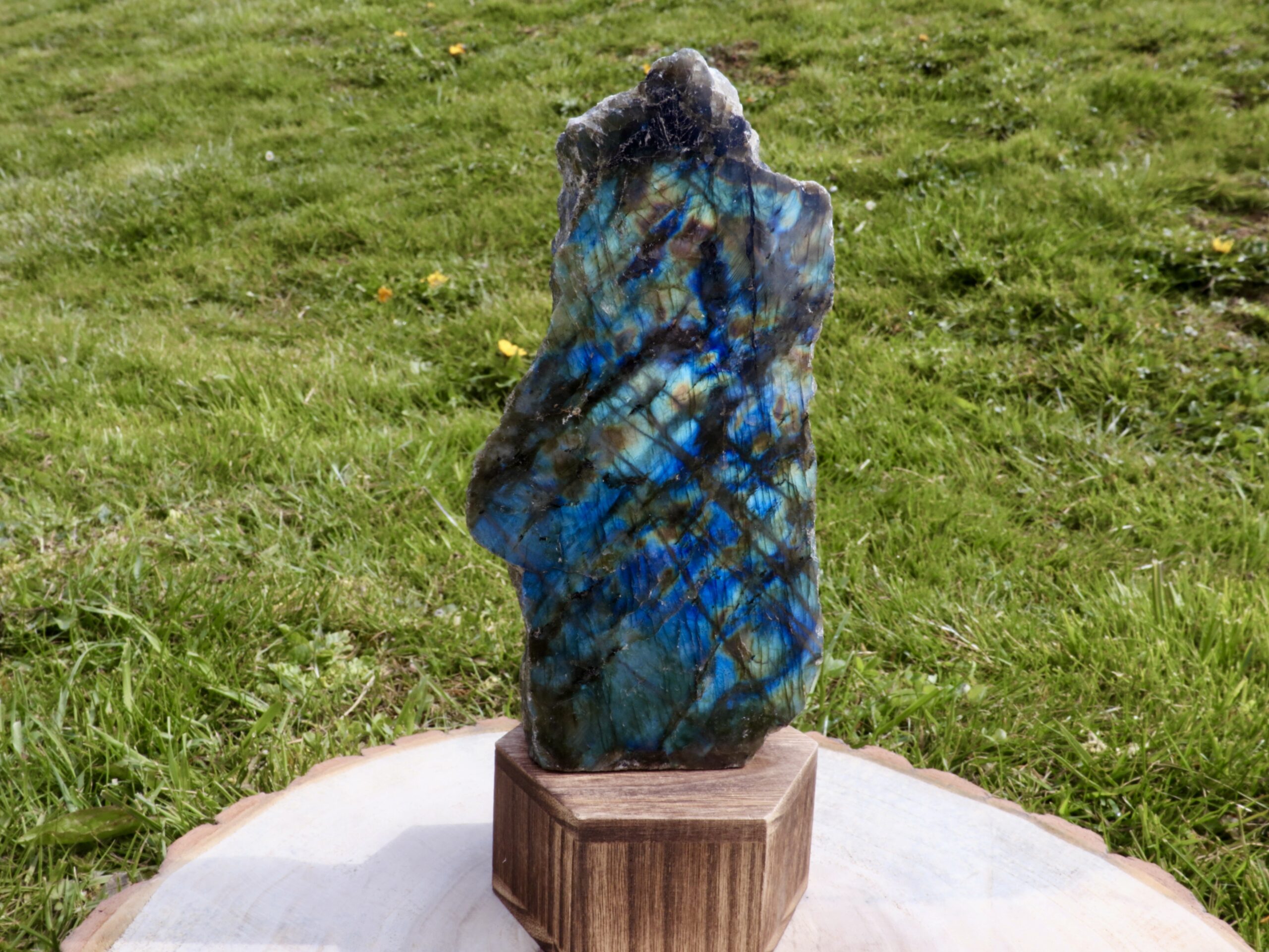 Forme libre 1 face polie labradorite (M4)