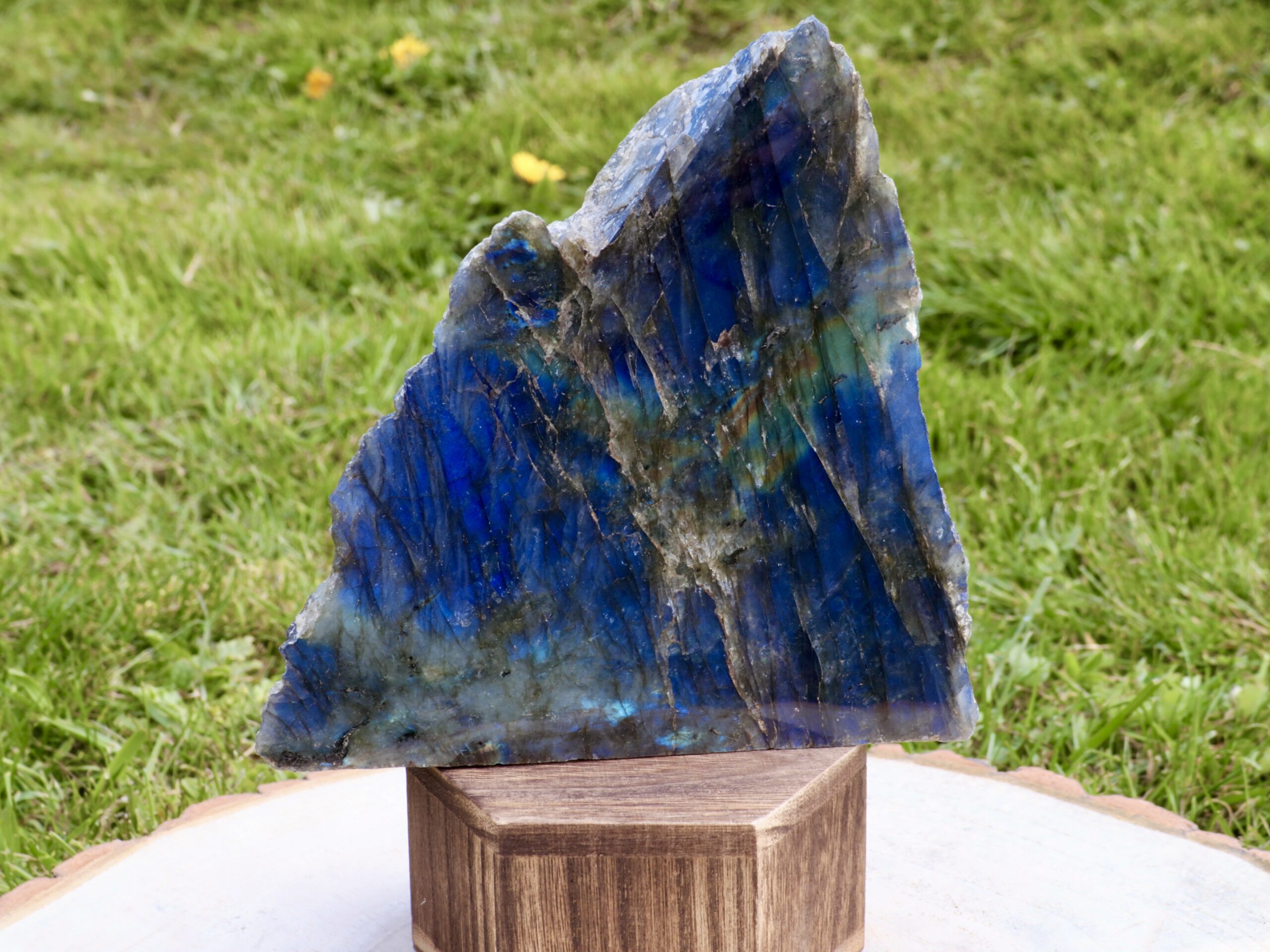 Forme libre 1 face polie labradorite (M3)