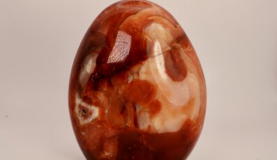 Pierre forme libre cornaline (605g)