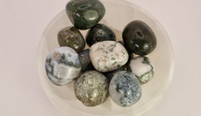 Pierre roulée agate arbre