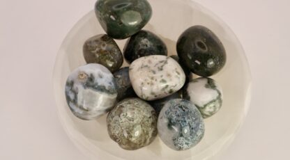 Pierre roulée agate arbre