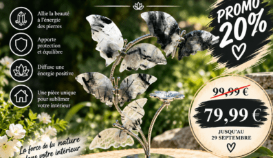 Papillon cristal de roche tourmaline