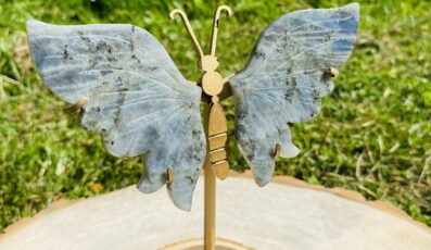 Papillon en labradorite